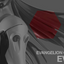 ガイアノーツ EV-17 グロスEVA マリブラウン